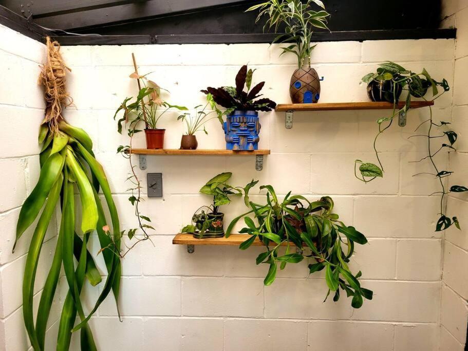 Villa Cozy Af Jungle-House Hideaway à Tampa Extérieur photo